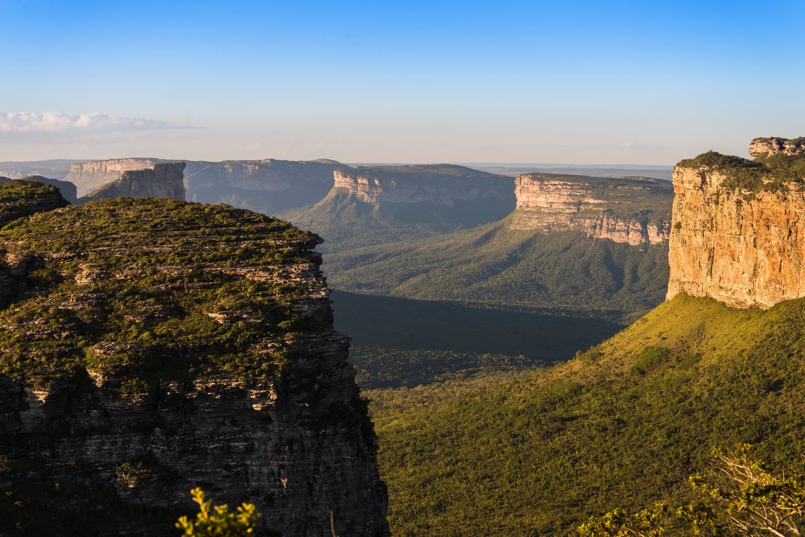 Quand la géologie fait mieux que n'importe quel peintre. Vue panoramique sur le paysage de la Chapada Diamantina, avec des mesas de grès en couches dominant une vallée boisée sous un ciel bleu dégagé