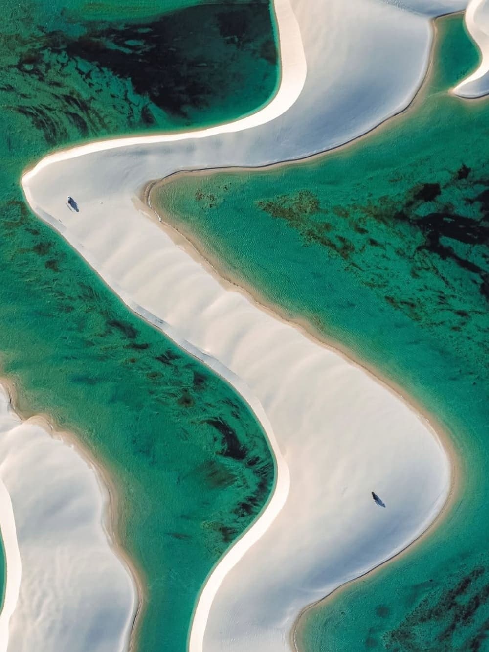 Duas pessoas no meio de tudo isso, só para dar a escala. Vista aérea de bancos de areia branca sinuosos entrelaçados com canais de lagoa turquesa vibrantes nos Lençóis Maranhenses, com duas figuras humanas minúsculas visíveis nas dunas