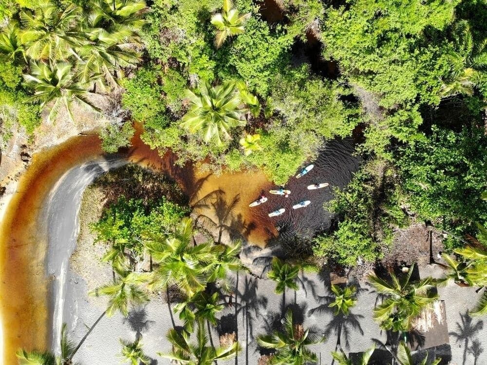 Rivier, palmen, zand, Itacaré toont zich vanuit de lucht op zijn best. Luchtfoto van vier stand-up paddlers op een donkere riviermonding die uitkomt op een wit zandstrand omgeven door kokospalmen en weelderig groen bij Itacaré