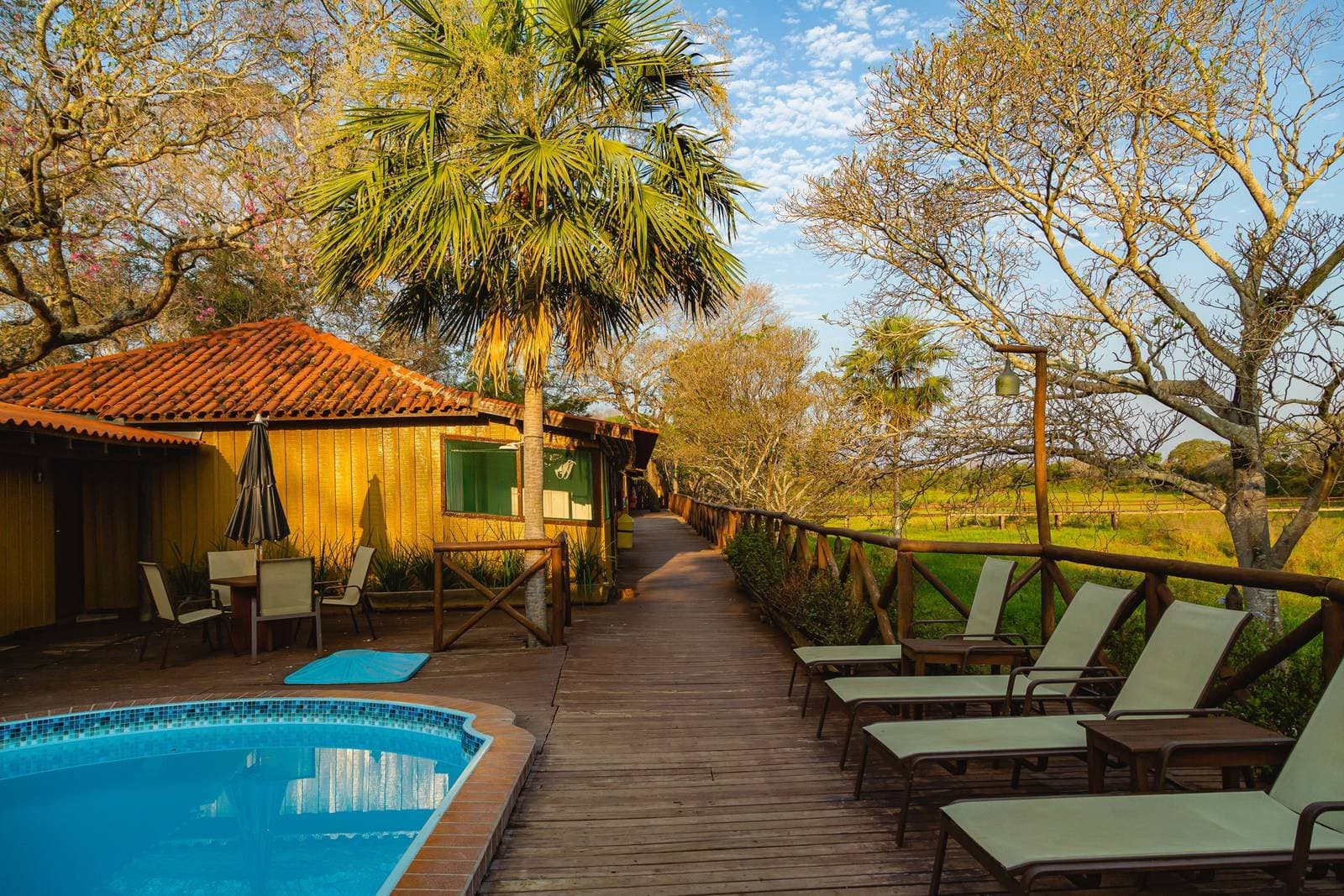 Liegestuhl, Palme, Feuchtgebiet am Horizont, der Nachmittag gehört dir. Holzdeck mit Sonnenliegen neben einem kleinen Pool in einer budgetfreundlichen Pantanal-Lodge, mit Palme, Hütte mit Terrakottadach und grünen Feuchtgebietsfeldern im Hintergrund