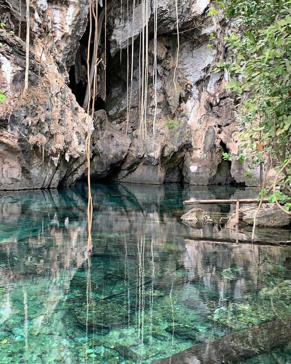 Des lianes suspendues, une eau d'un bleu-vert intense — une quiétude où l'on plonge. Eau turquoise cristalline d'une grotte calcaire naturelle lors du circuit Jalapão de 4 jours, avec de longues lianes pendant de la voûte rocheuse et une petite plateforme en bois au bord de l'eau
