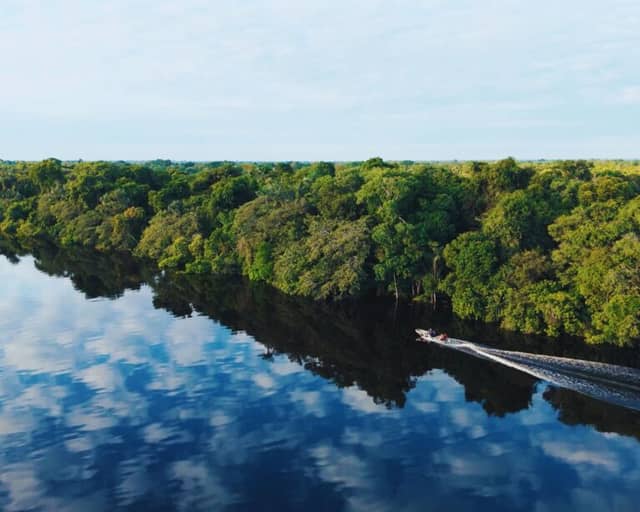 COP30: What to Do Beyond the Conference – Explore Brazil’s Nature COP30: What to Do Beyond the Conference – Explore Brazil’s Nature