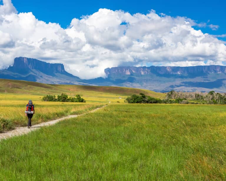 A trekker walking the savanna trail toward Mount Roraima and the Kukenán tepui