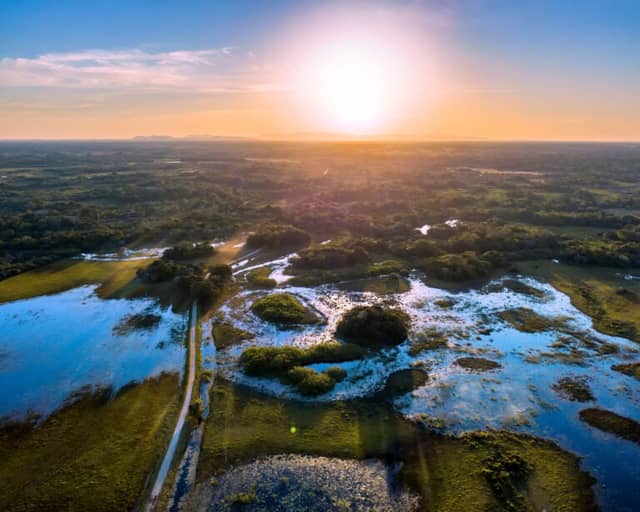 3 Wege nachhaltigen Tourismus im Pantanal schützt Wildtiere 3 Wege nachhaltigen Tourismus im Pantanal schützt Wildtiere