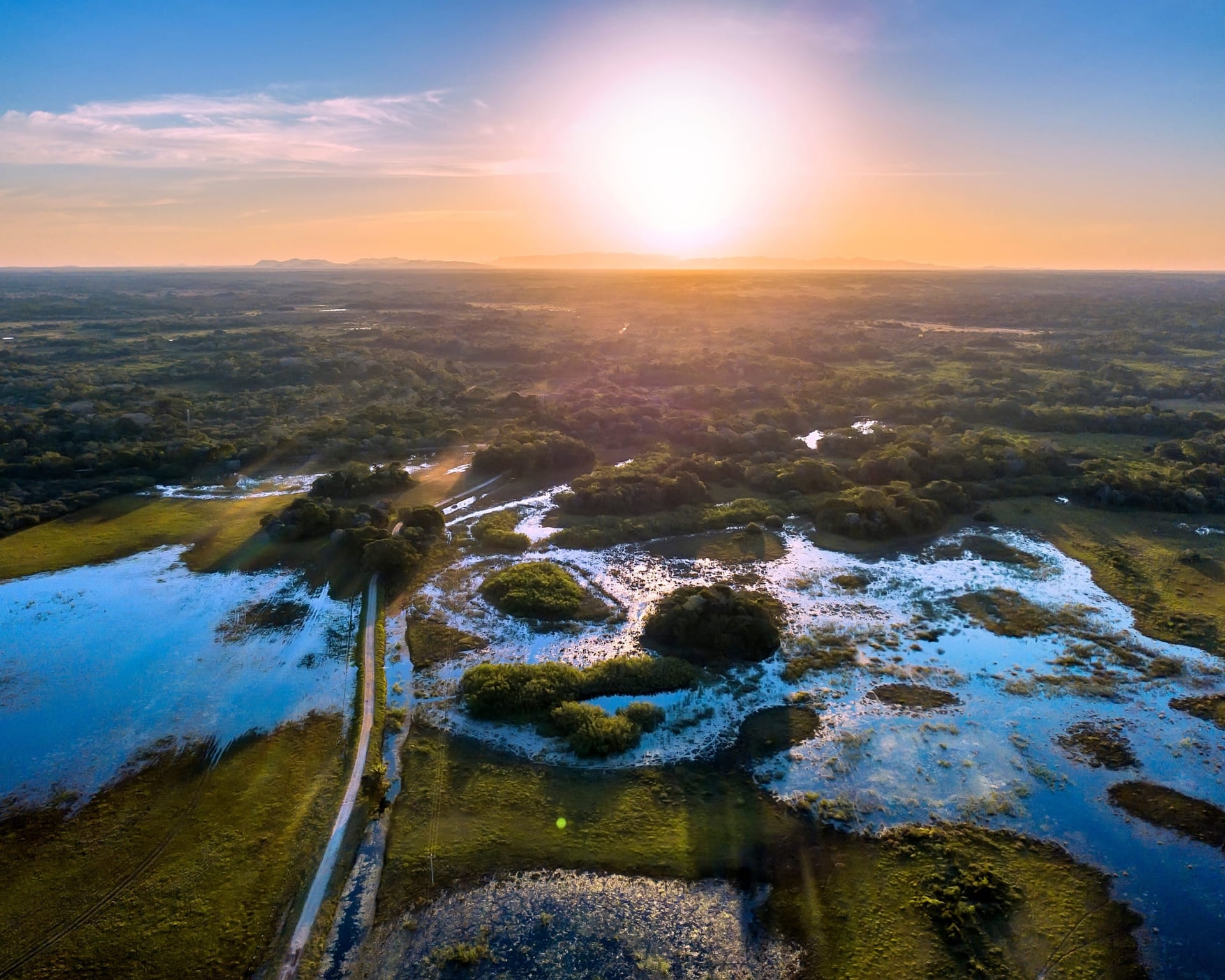 3 Wege nachhaltigen Tourismus im Pantanal schützt Wildtiere 3 Wege nachhaltigen Tourismus im Pantanal schützt Wildtiere