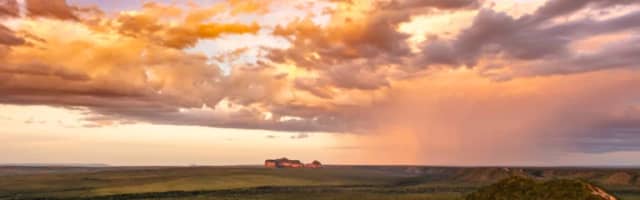 How to visit the Cerrado in Brazil? How to visit the Cerrado in Brazil?