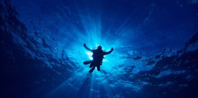 When is the Best Time to Dive in Fernando de Noronha, Brazil? When is the Best Time to Dive in Fernando de Noronha, Brazil?