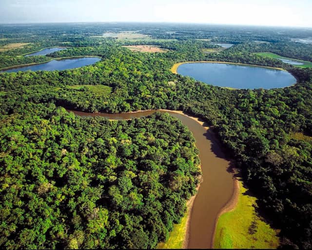 Beste Reisezeit fürs Pantanal Beste Reisezeit fürs Pantanal