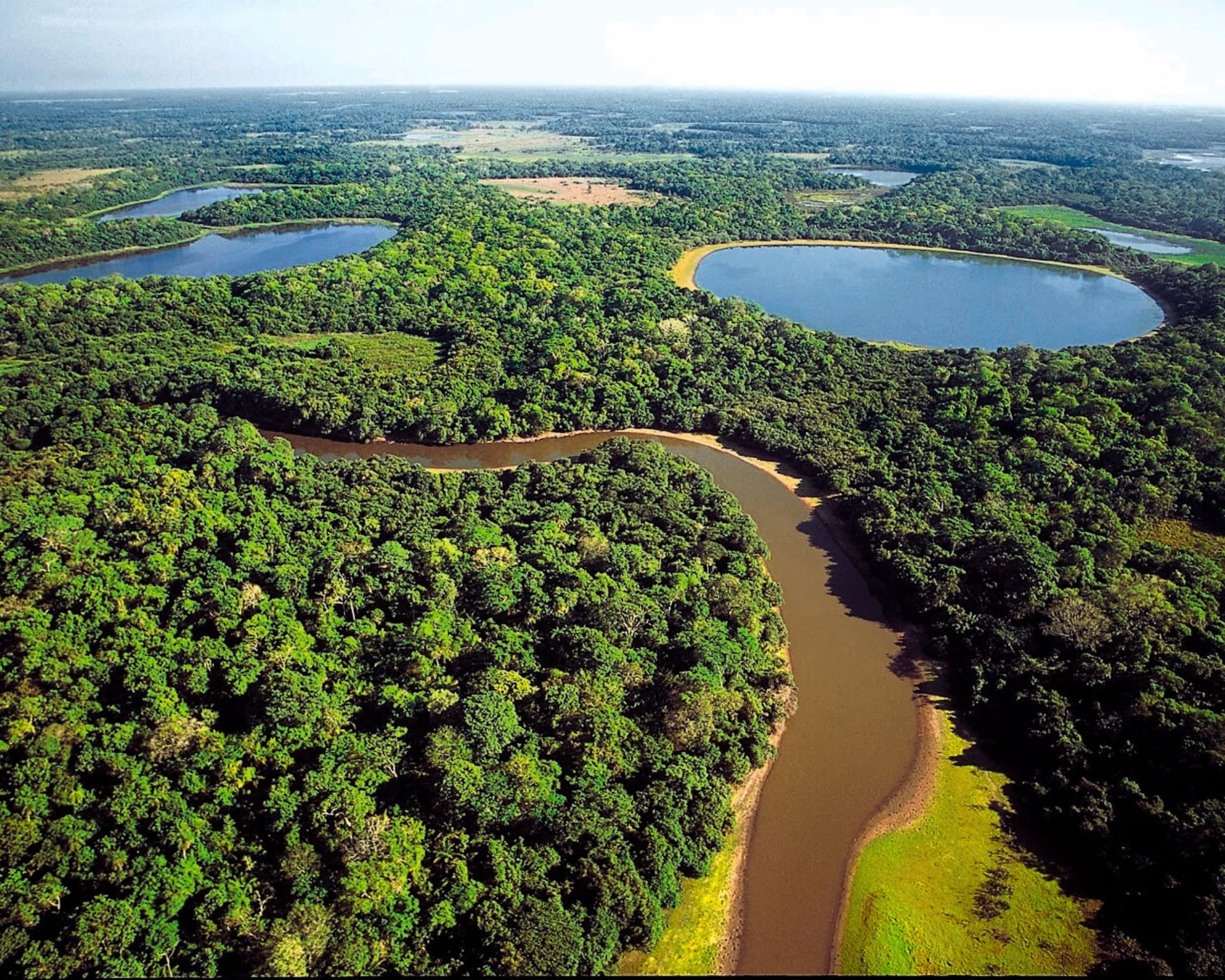 Wanneer is de Beste Reistijd Pantanal? Wanneer is de Beste Reistijd Pantanal?