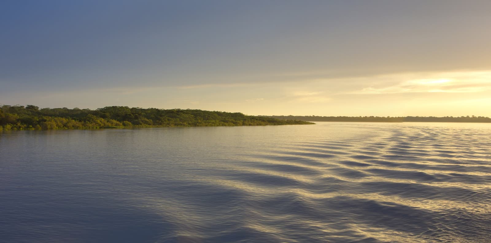 Le fleuve garde la mémoire du bateau bien après son passage. La lumière dorée du lever du soleil se reflète sur un large fleuve tropical lors d'une croisière sur l'Amazone depuis Alter do Chão, avec une dense forêt verte s'étirant jusqu'à l'horizon