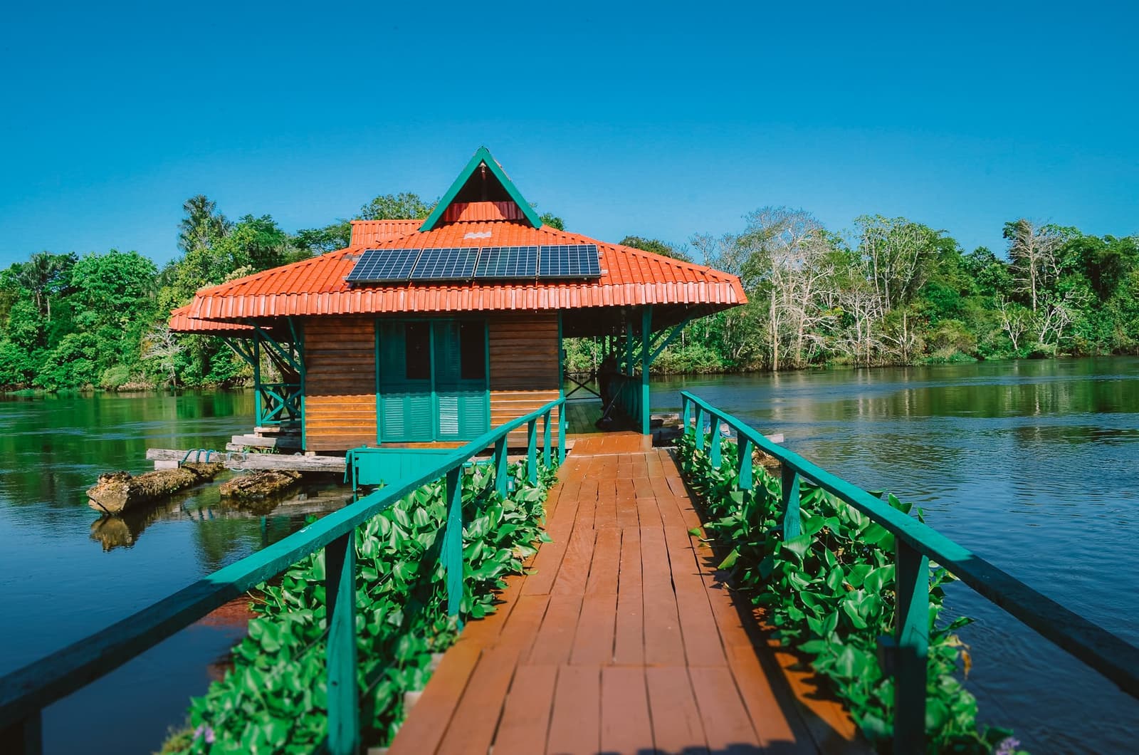 Energia solar, rio na porta e mata fechada dos dois lados. Esse é o combinado. Chalé de madeira sobre palafitas em rio tranquilo, com painéis solares no telhado alaranjado e passarela de madeira ladeada por plantas aquáticas, rodeado por densa vegetação tropical