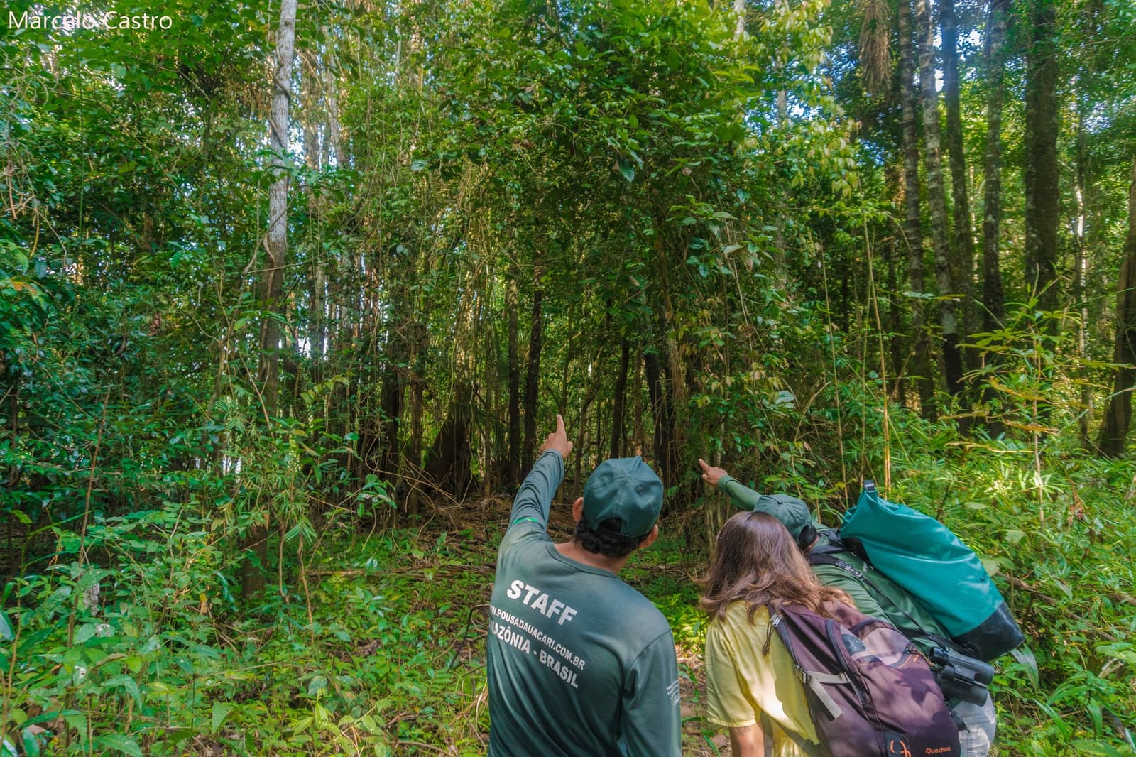 Um bom guia sempre sabe onde olhar primeiro. Um guia do Uakari Lodge e uma visitante com mochila apontam para o dossel verde e denso durante uma viagem de ecolodge na floresta amazônica no Brasil