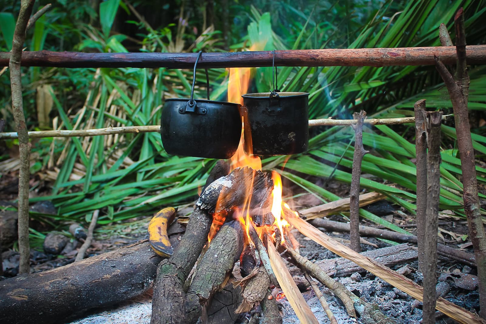 O fogo cuida do jantar enquanto a floresta cuida do resto. Duas panelas enegrecidas penduradas sobre uma fogueira aberta em uma armação rústica de madeira durante um tour de sobrevivência na Amazônia, com densa vegetação tropical de palmeiras ao fundo