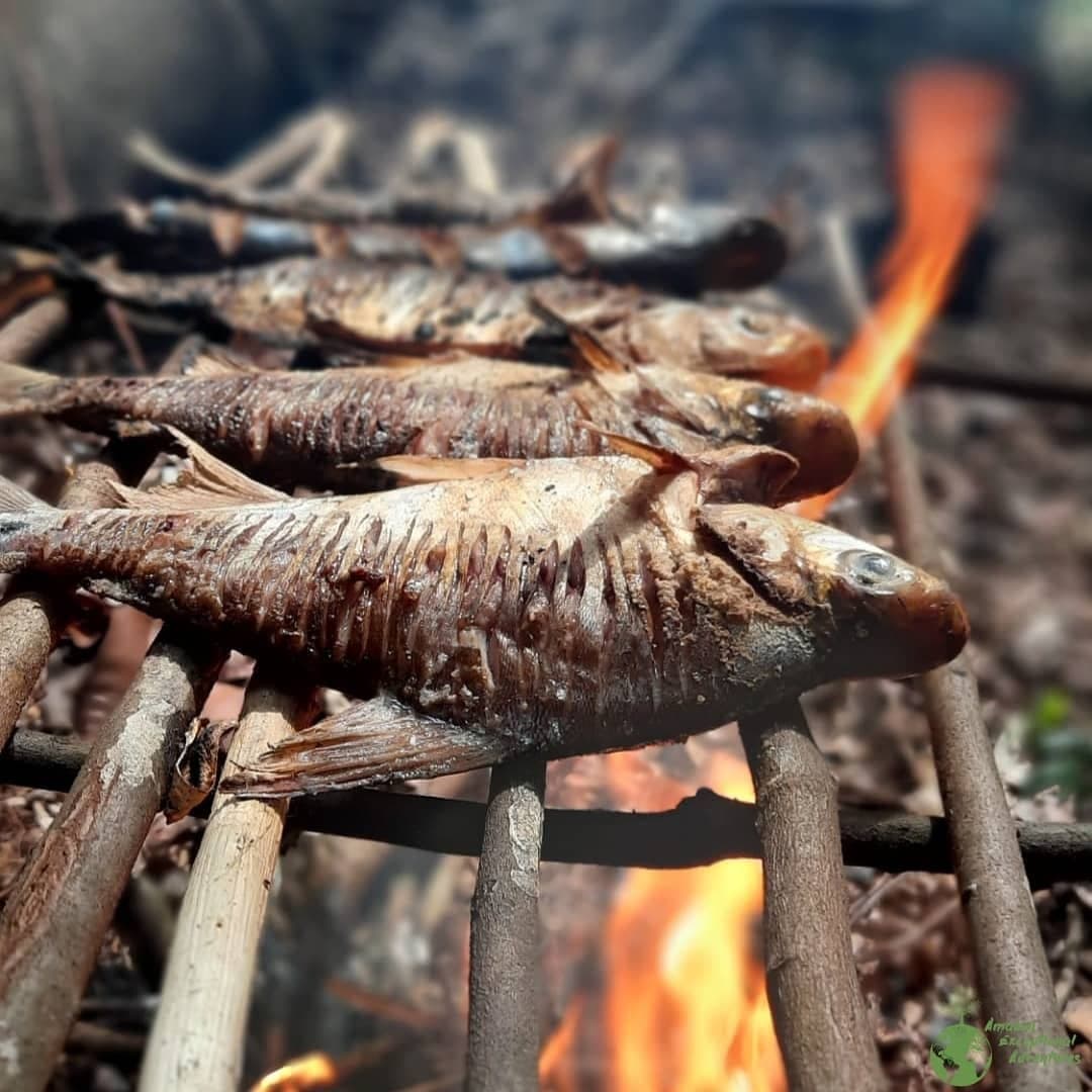 Almoço garantido, direto da natureza para o prato. Peixes inteiros sendo assados em uma grade rústica de madeira sobre chamas abertas durante um tour de sobrevivência na Amazônia
