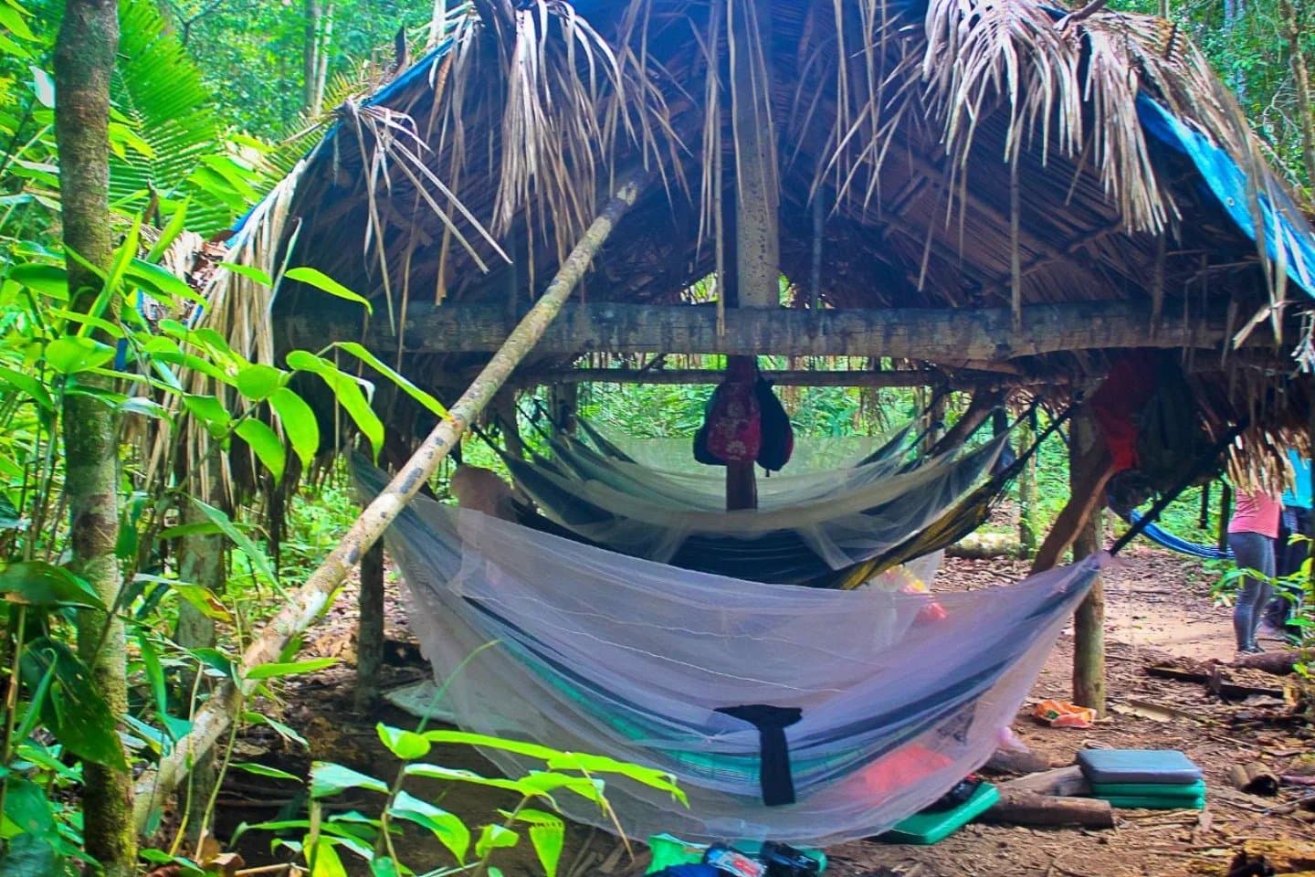 Quarto sem paredes, sem sinal, e com a melhor vista da floresta. Redes com mosquiteiros penduradas sob um abrigo rústico coberto de palha durante um tour de sobrevivência na Amazônia, cercado por vegetação densa da floresta