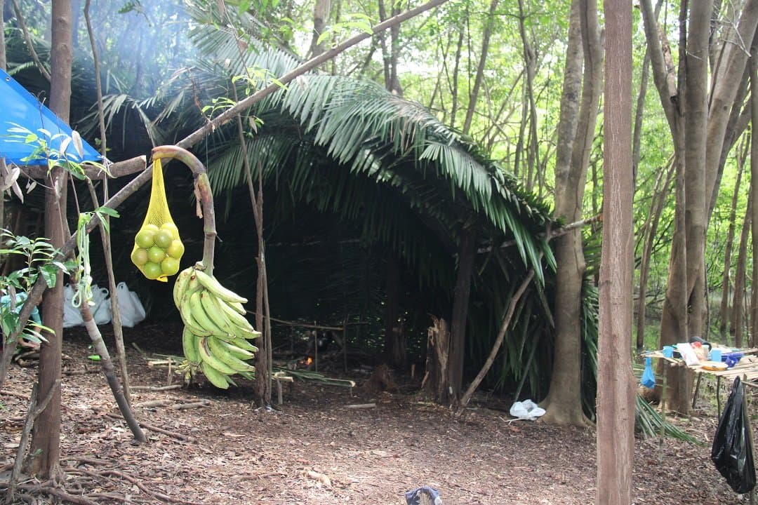 Almoço pendurado, abrigo montado. A floresta dá o que precisa. Um abrigo de folhas de palmeira em um acampamento de sobrevivência na Amazônia, com um cacho de bananas verdes e uma sacola de frutas pendurados em um galho em primeiro plano