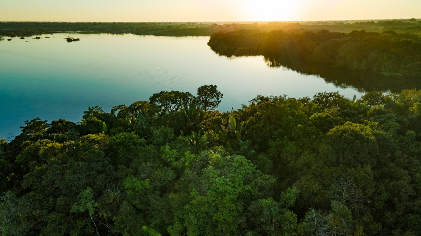Wald und Fluss, beide schon ein bisschen müde vom Tag. Luftaufnahme eines breiten Amazonas-Flusses bei goldenem Sonnenuntergang, umgeben von dichtem tropischem Regenwald auf beiden Ufern