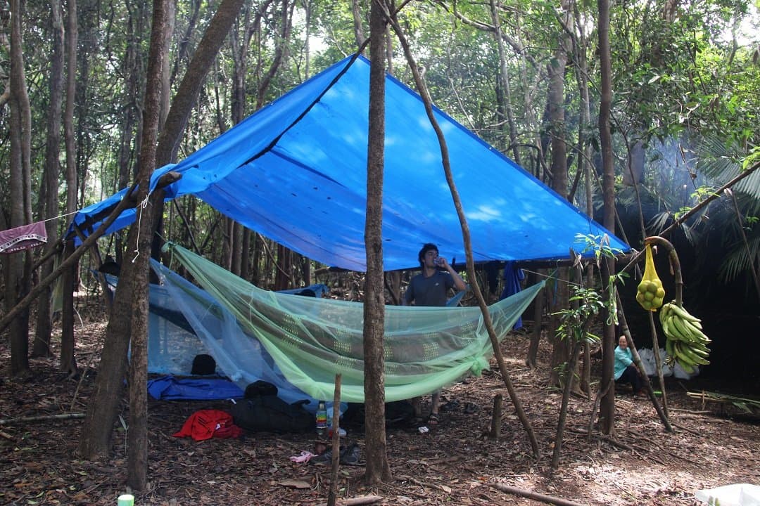 Schlafen im Dschungel: Plane, Hängematte, Bananen. Mehr braucht man nicht. Ein blauer Planen-Unterstand zwischen Waldbäumen mit einem Moskitonetz-Hängematte, aufgebaut auf einer Amazon-Trek- und Survival-Tour, während ein Reisender im Hintergrund trinkt und Bananen von einem Ast hängen