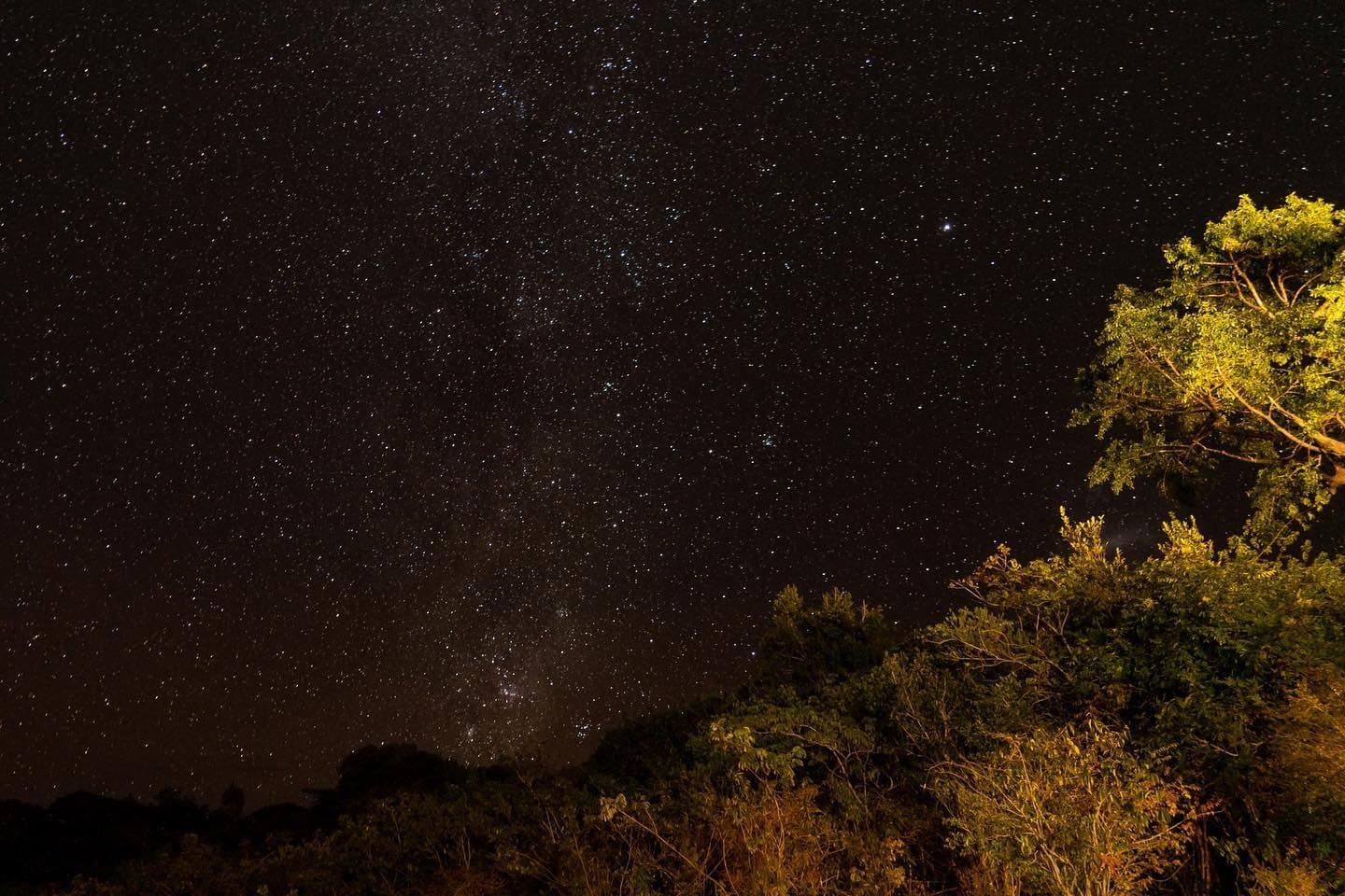 Lichtverschmutzung? Fehlanzeige. Der Amazonas-Nachthimmel zeigt, was wirklich da oben ist. Die Milchstraße über einem dicht beleuchteten Baumwipfel tief im Regenwald, aufgenommen bei einer Amazon-Trekking- und Survival-Tour