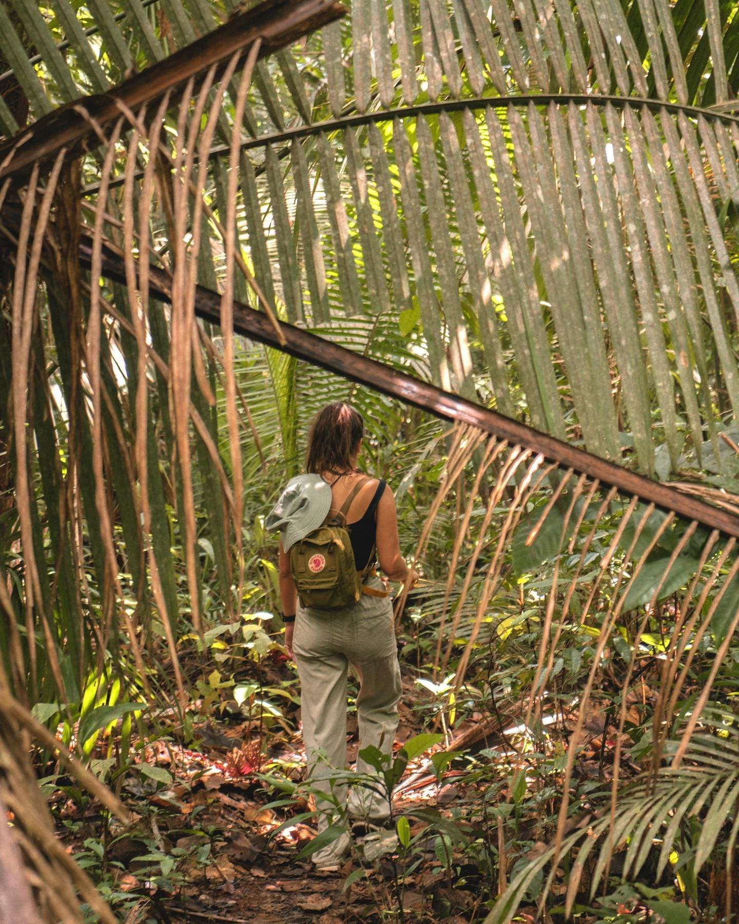 Der Regenwald baut seine eigenen Tore. Man muss nur hindurchgehen. Eine Wanderin mit grünem Rucksack und Sonnenhut geht durch einen natürlichen Tunnel aus geschwungenen Palmwedeln auf einer Amazon-Trek- und Survival-Tour