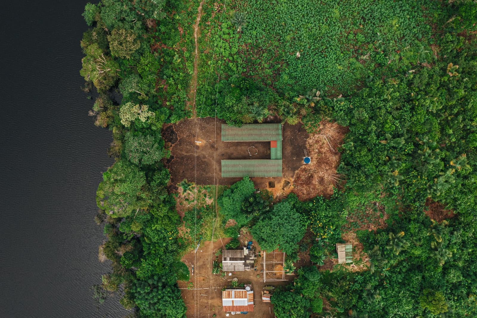 A floresta deu um palmo de espaço e ficou de olho para não perder mais. Vista aérea por drone da Anavilhanas Jungle Lodge Brasil, com telhados verdes embutidos no dossel denso da floresta amazônica à beira de um curso d'água escuro e uma pequena comunidade ribeirinha