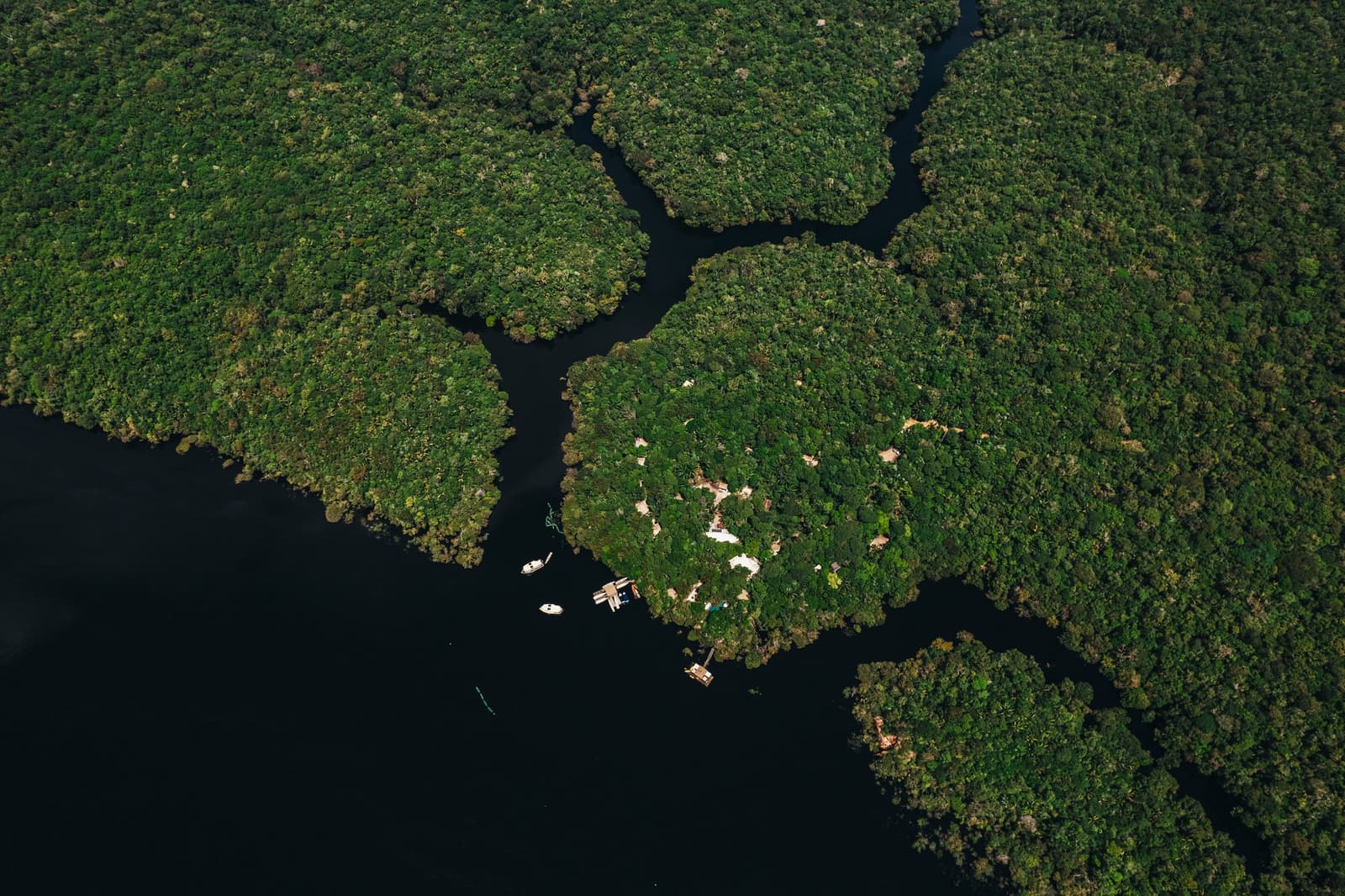 Dois barcos, floresta em todo lugar, e o lodge no meio disso tudo. Vista aérea da Anavilhanas Jungle Lodge Brasil, com pequenos barcos e um flutuante ancorado na beira de uma ilha coberta por floresta densa entre os igarapés escuros do Rio Negro