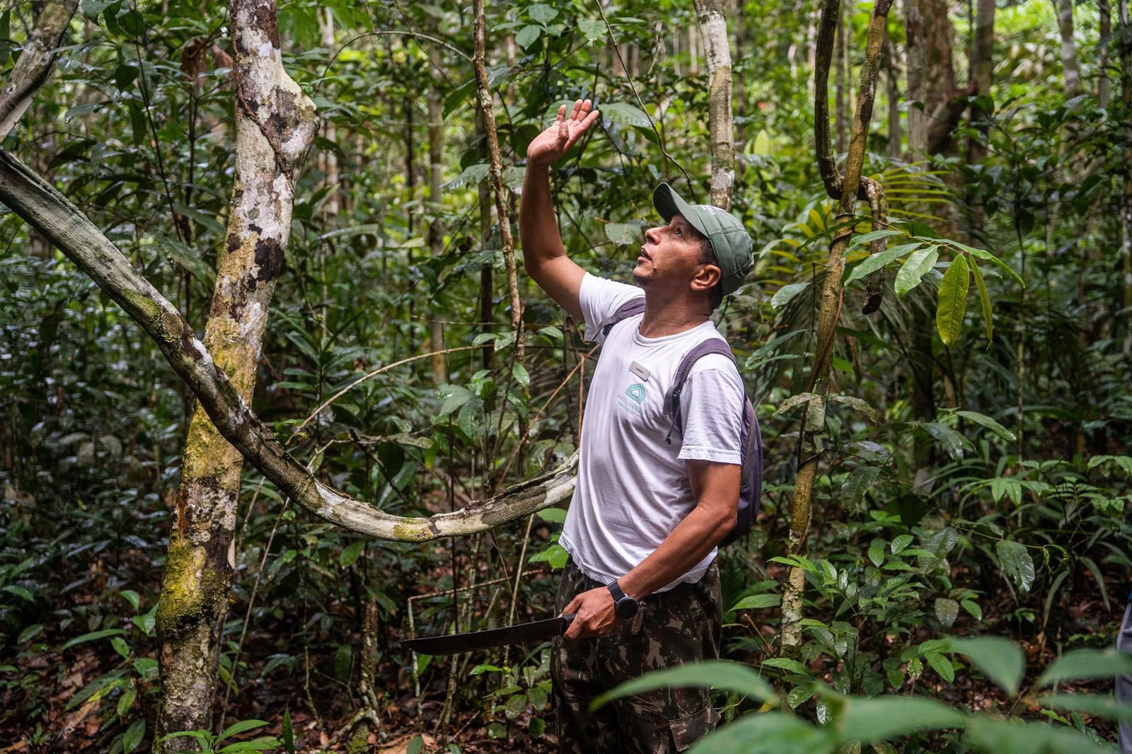Ele viu algo lá em cima que o resto do grupo teria passado sem notar. Um guia local do Anavilhanas Jungle Lodge Brasil aponta para a densa copa da floresta durante uma trilha em mata de terra firme, segurando um facão enquanto observa os animais nas árvores