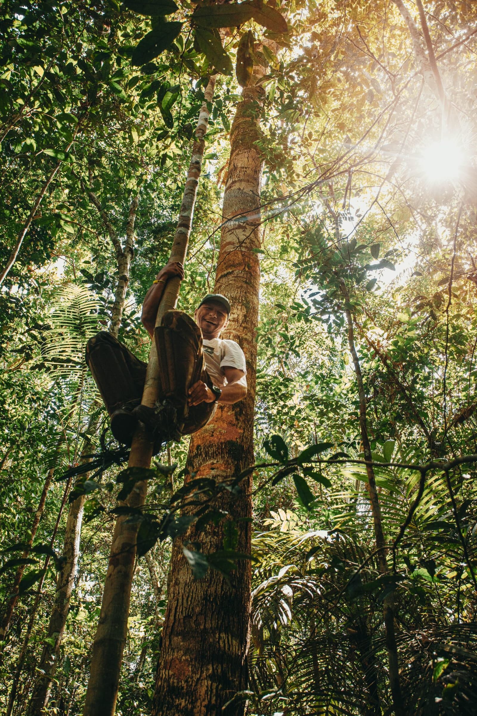 Na Amazônia, o melhor guia conhece a floresta de cima a baixo, literalmente. Um guia local sorridente sobe descalço por uma árvore alta da floresta amazônica na Anavilhanas Jungle Lodge Brasil, com a luz do sol atravessando o denso dossel verde
