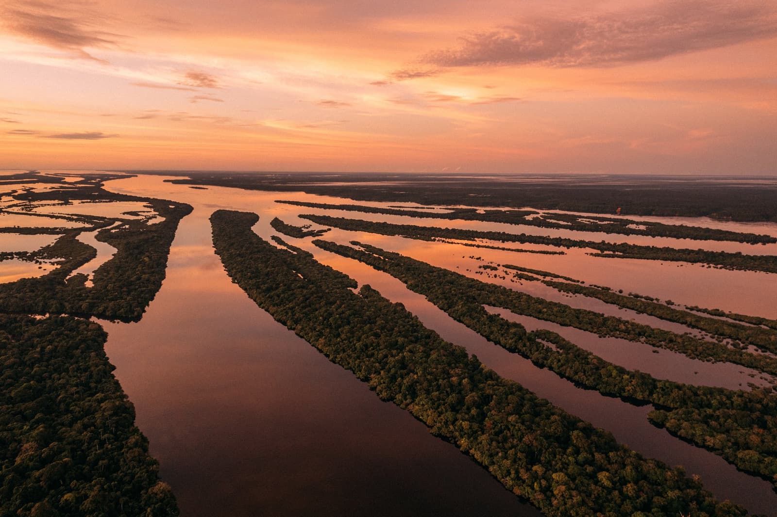 Na cheia, o rio não contorna a floresta, ele entra nela e a transforma. Vista aérea da região do Anavilhanas Jungle Lodge Brasil ao amanhecer, com centenas de ilhas florestadas entrelaçadas em águas escuras e calmas sob um céu vibrante de laranja e rosa
