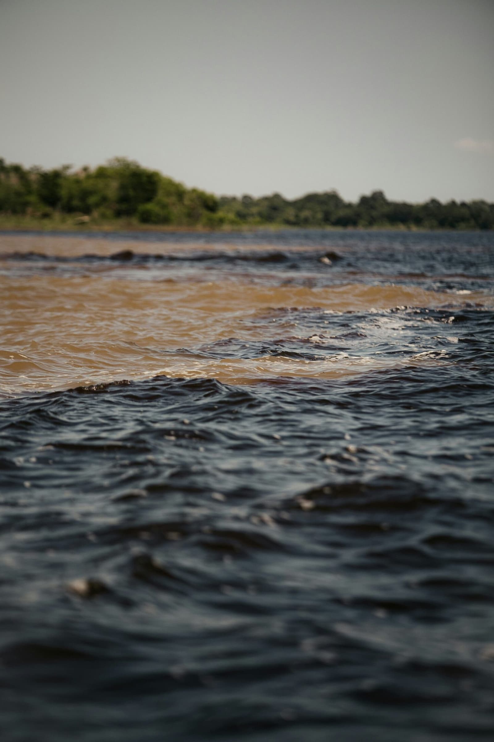 Dois rios, duas cores, uma fronteira invisível. Dois rios com cores marcadamente diferentes — água preta escura e marrom arenoso — fluindo lado a lado sem se misturar, um fenômeno natural do passeio pela selva amazônica brasileira