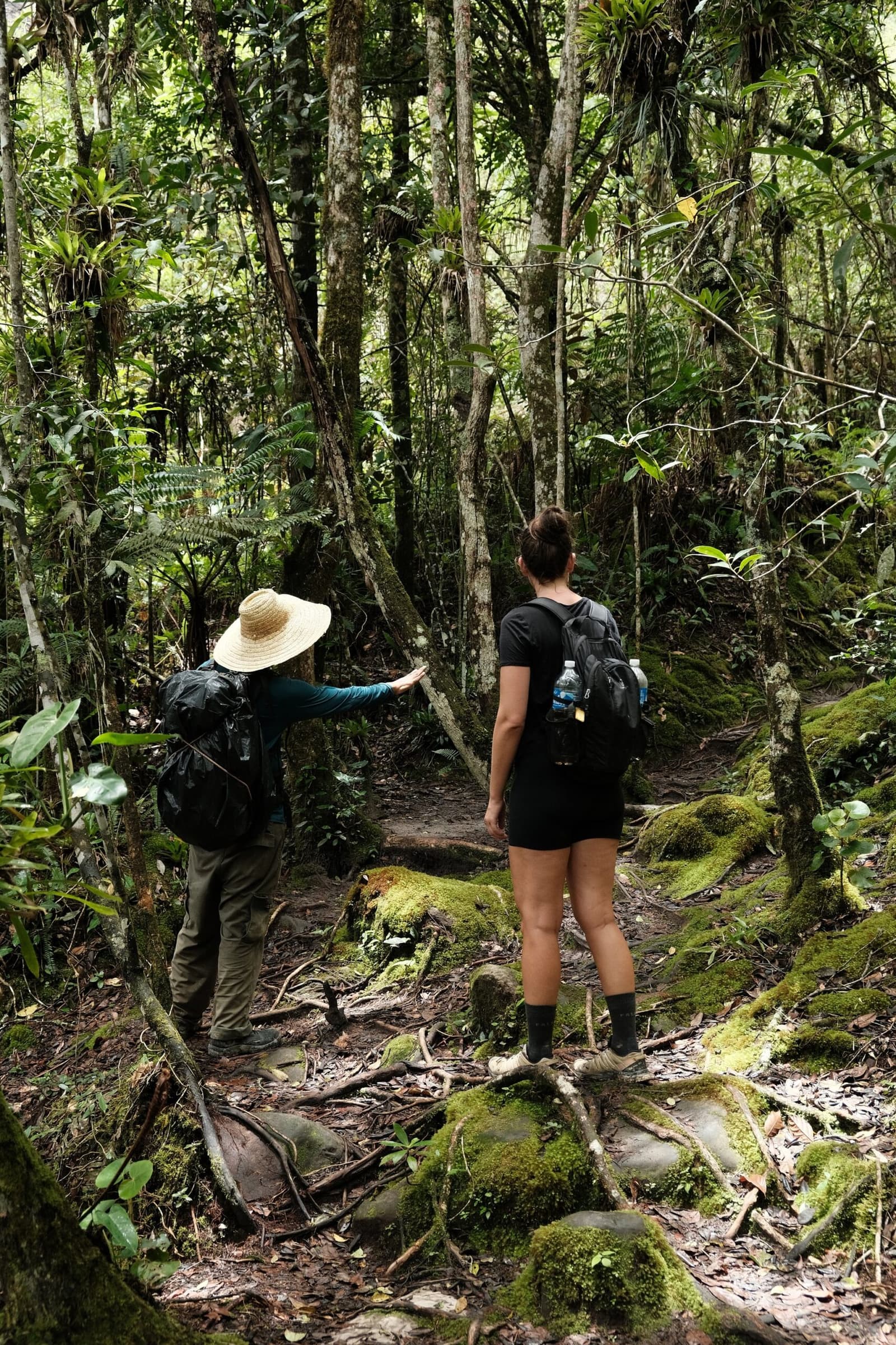 Un bon guide transforme une balade en forêt en une conversation avec le lieu. Un guide coiffé d'un chapeau de paille indique le chemin sur un sentier moussu lors d'une randonnée Chapada Diamantina, pendant qu'une voyageuse à dos-à-dos contemple la forêt dense