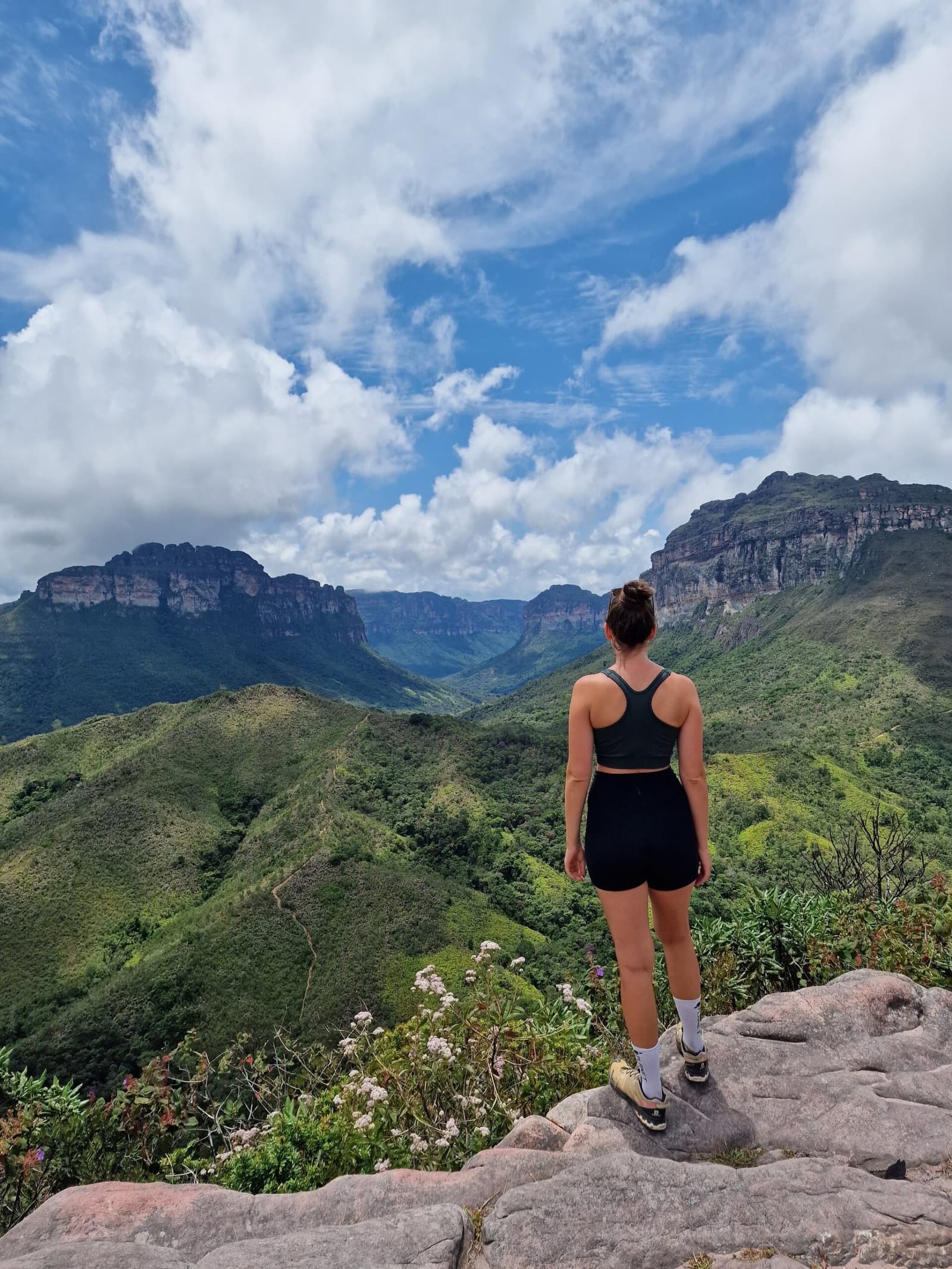 Le genre de panorama qui justifie chaque montée difficile de la journée. Une randonneuse debout sur un éperon rocheux contemple une immense vallée verdoyante encadrée d'escarpements gréseux lors d'une randonnée dans la Chapada Diamantina, sous un ciel bleu nuageux