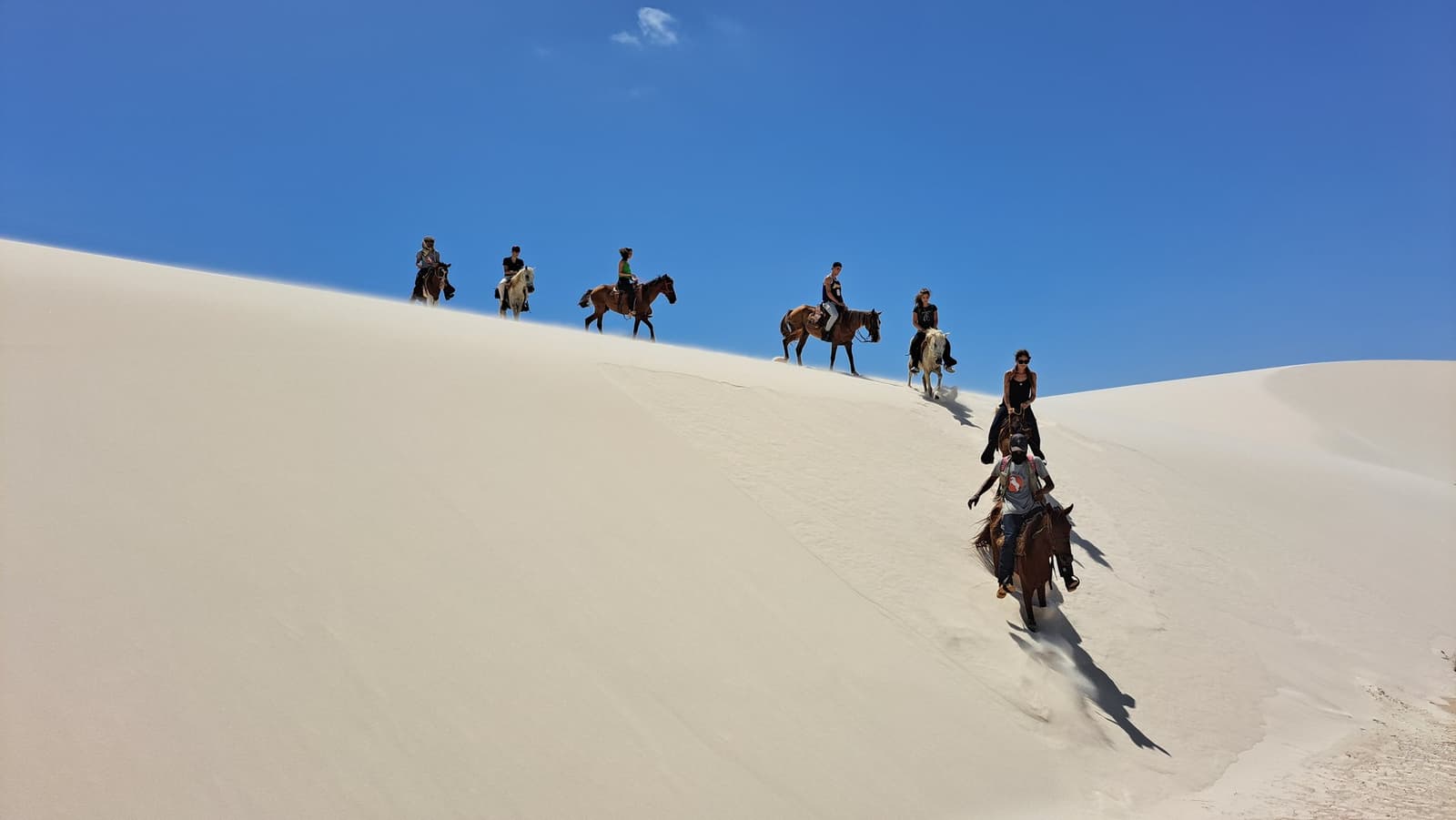 Une caravane de sable blanc et de ciel bleu. Le désert brésilien à cheval, ça change tout. Une file de cavaliers descend la crête d'une haute dune de sable blanc lors d'un circuit équestre dans les Lençóis Maranhenses, sous un ciel bleu intense