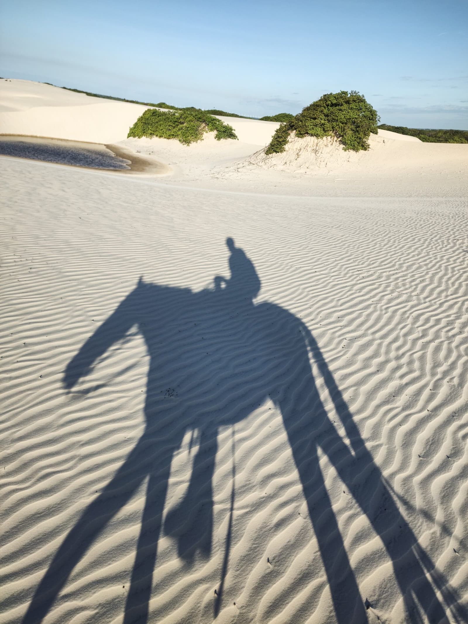 Les Lençóis Maranhenses à cheval, votre ombre en tête. Longue ombre d'un cavalier projetée sur des dunes de sable blanc striées par le vent, avec des arbustes verts épars et un lagon peu profond en arrière-plan lors d'un tour à cheval dans les Lençóis Maranhenses