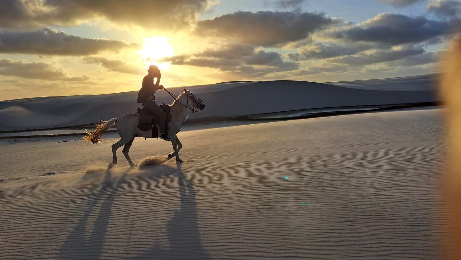 Un cheval, une lumière rasante, et rien d'autre à l'horizon. Un cavalier sur un cheval blanc galope sur les dunes de sable blanc au coucher de soleil doré dans le Lençóis Maranhenses, de longues ombres s'étirent sur la face de la dune avec des lagunes scintillant en arrière-plan