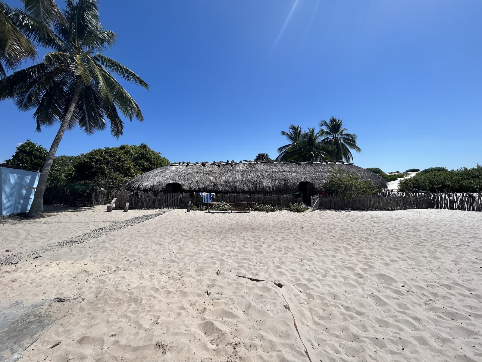 Construit pour durer, posé là comme une évidence sur le sable. Un grand lodge au toit de chaume entouré d'une clôture en bois rustique, de cocotiers et de dunes de sable blanc sous un ciel bleu limpide, lors du circuit à cheval dans les Lençóis Maranhenses