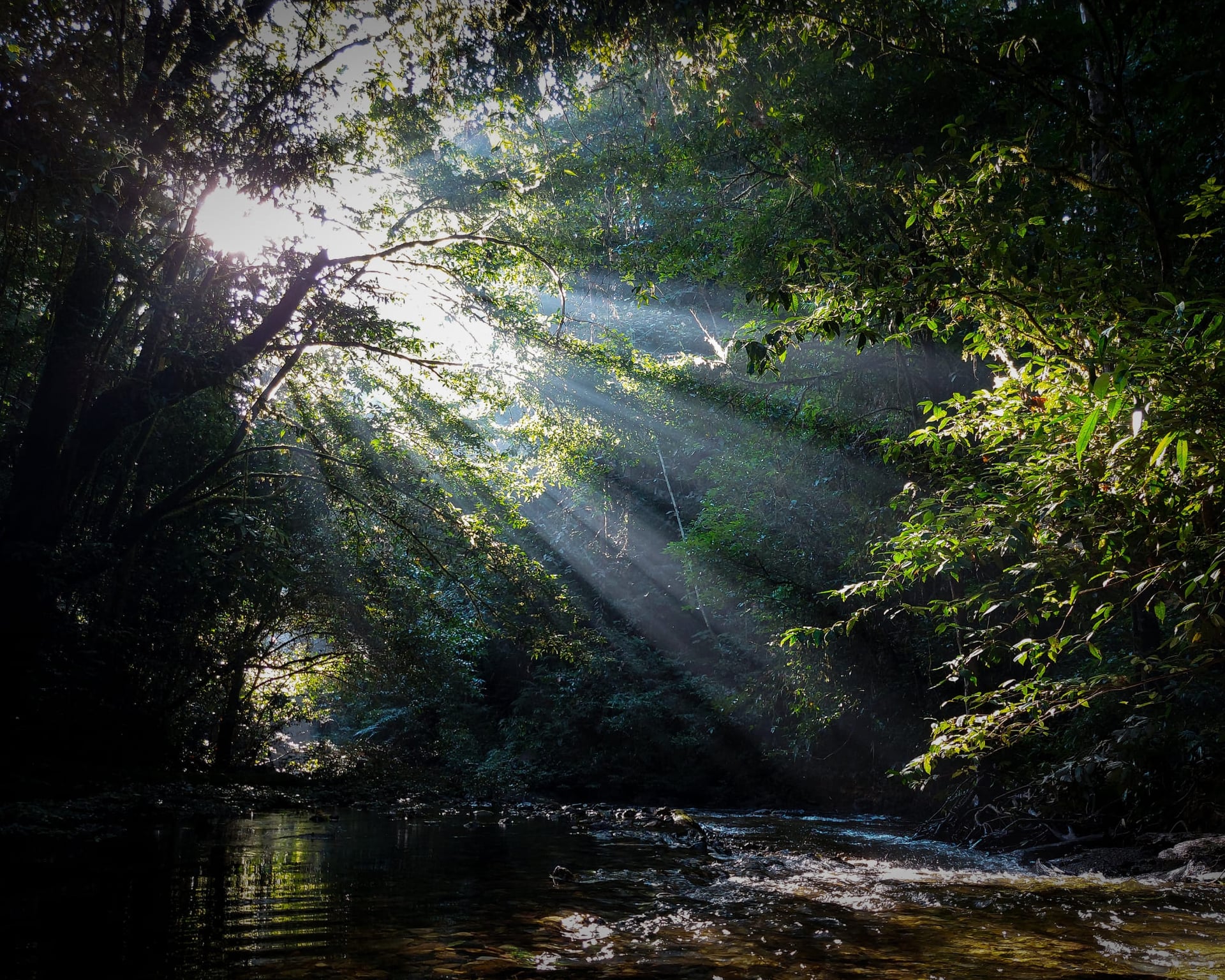 Melhores Lugares para Visitar na Amazônia no Brasil Melhores Lugares para Visitar na Amazônia no Brasil
