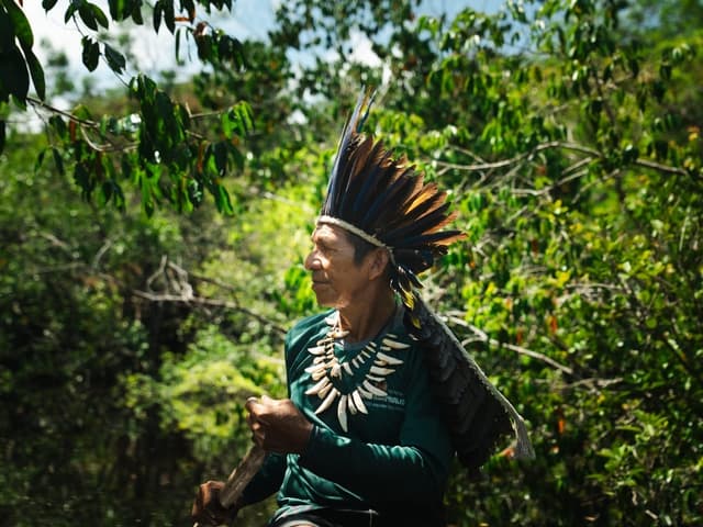 Dokumentarfilm: Tourismus, der den Amazonas am Leben erhält Dokumentarfilm: Tourismus, der den Amazonas am Leben erhält