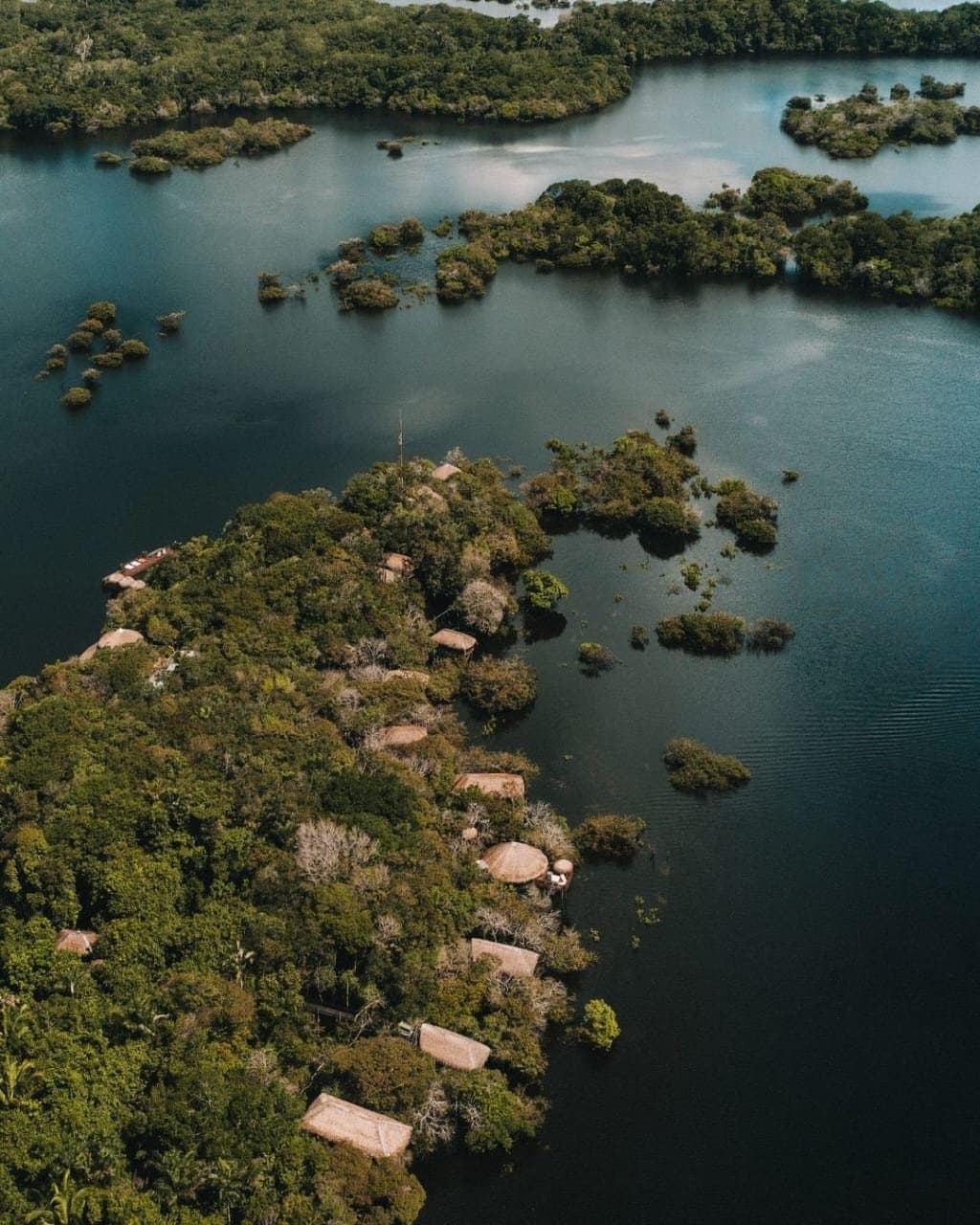 A floresta engoliu o lodge, e isso é exatamente o que você quer. Vista aérea do Juma Amazon Jungle Lodge encravado em meio ao denso dossel da floresta tropical em uma ilha fluvial, com bangalôs de telhado de palha visíveis entre as árvores e as águas escuras da Amazônia ao redor