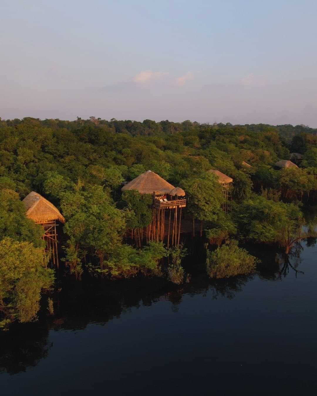 Quarto entre as copas, rio logo abaixo. A Amazônia do jeito que ela merece ser vivida. Vista aérea do Juma Amazon Jungle Lodge com bangalôs de teto de palha elevados sobre palafitas acima da copa da floresta amazônica, à beira de um rio de águas escuras na hora dourada