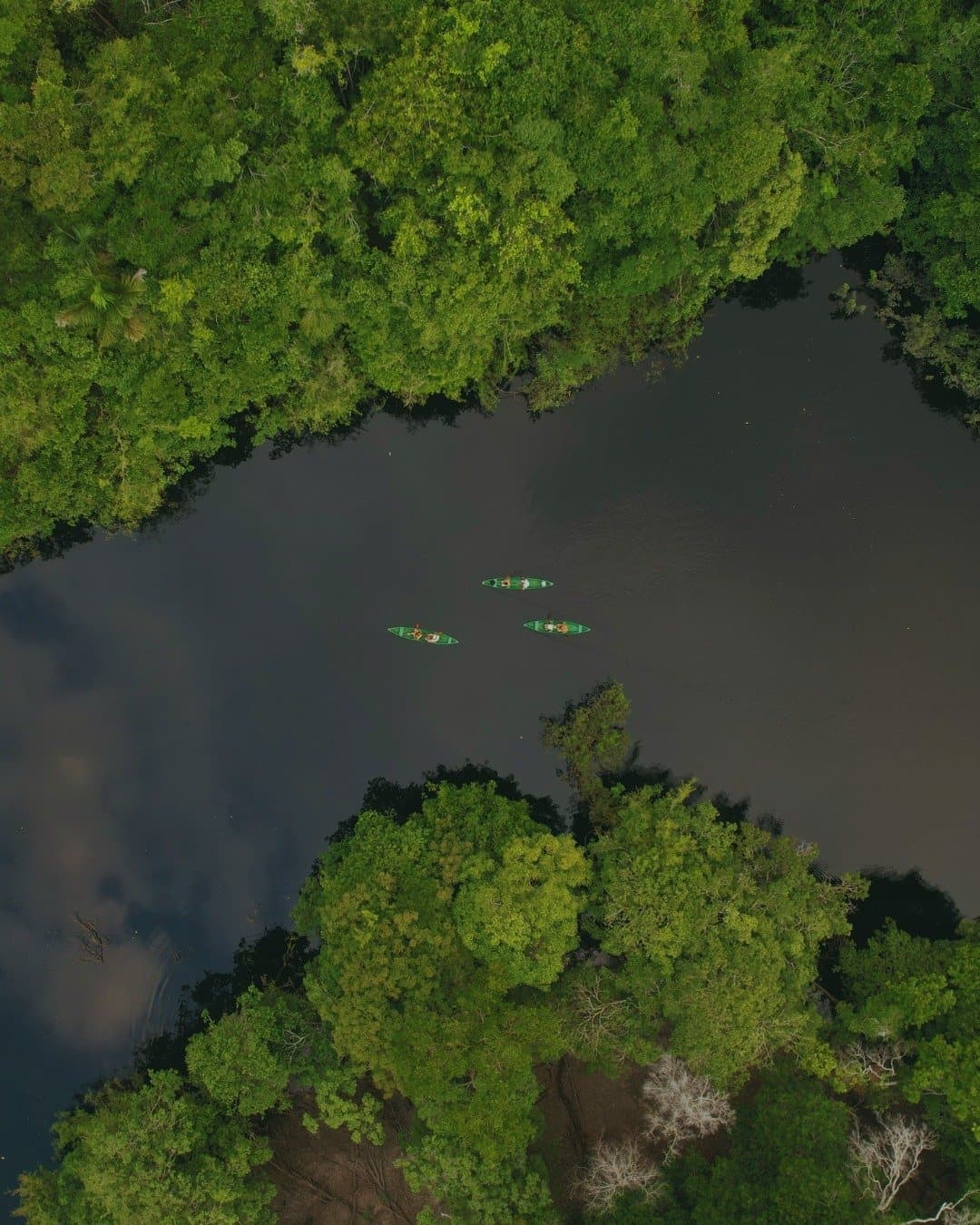 Lá de cima, a floresta parece ter engolido tudo, menos vocês. Vista aérea de três canoas navegando por um canal de águas escuras cercado pela densa copa da floresta amazônica no Juma Amazon Jungle Lodge