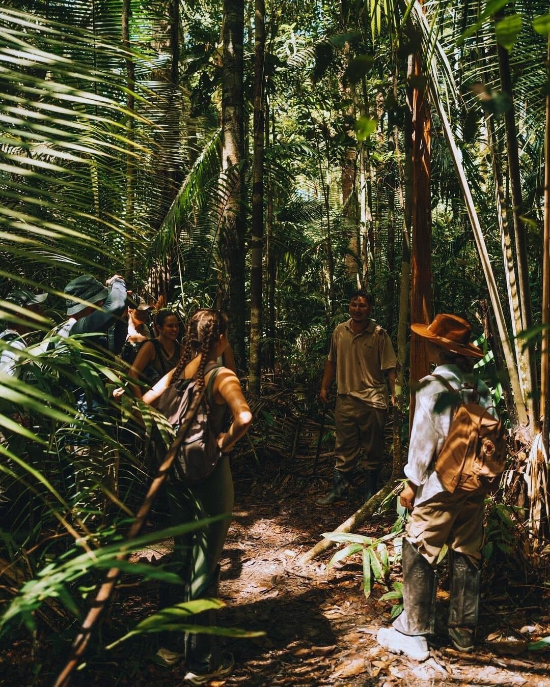 A floresta conta histórias que só se ouvem a pé, com calma. Um pequeno grupo de viajantes sorridentes segue um guia local por uma trilha estreita em meio à densa floresta tropical do Juma Amazon Jungle Lodge, cercado por folhas de palmeira e árvores altas