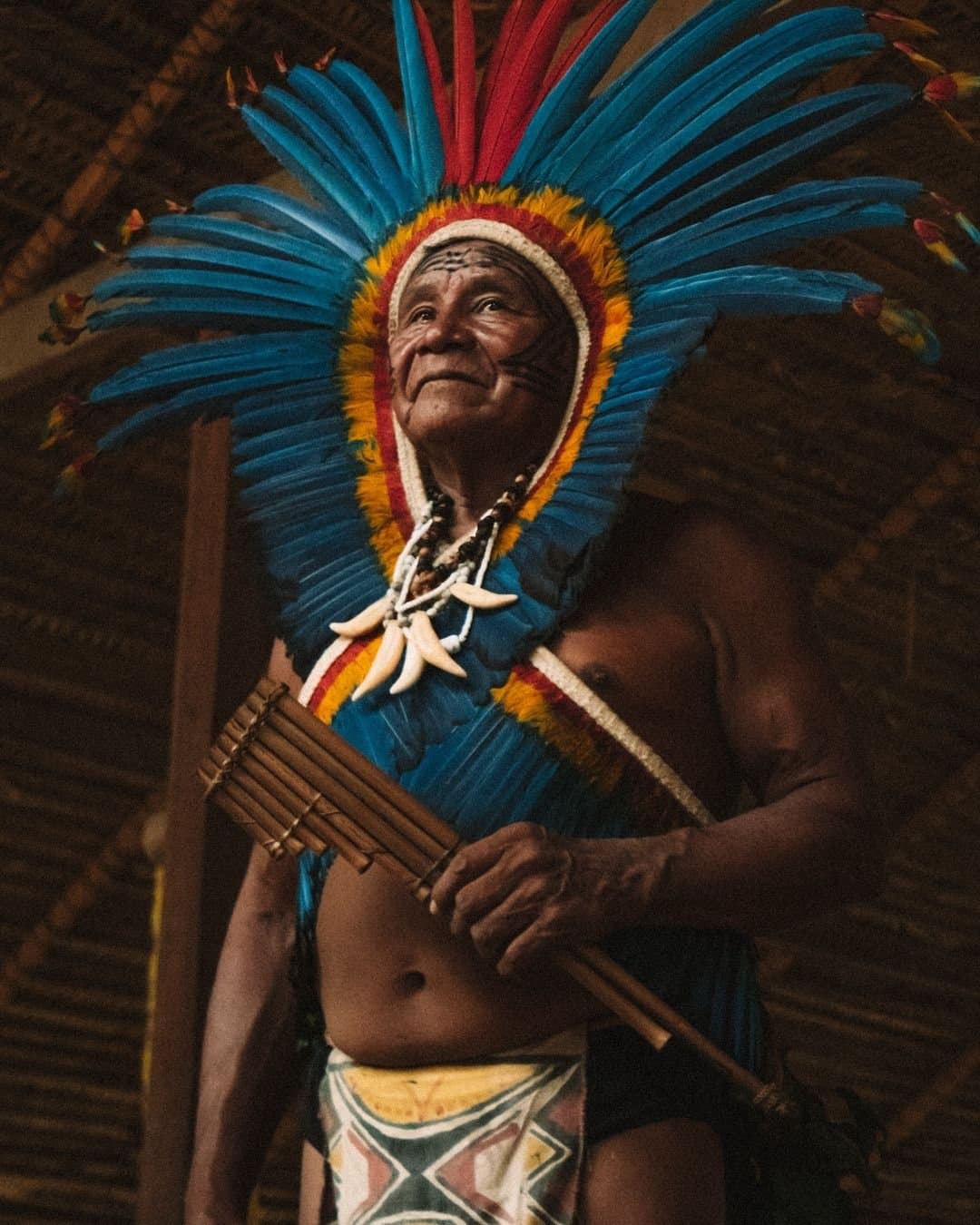 Numa postura só, a história de um povo inteiro. Um ancião indígena com um vistoso cocar de penas azuis e vermelhas e colar de sementes e dentes toca uma flauta de bambu dentro de uma maloca coberta de palha, celebrando a cultura viva encontrada na Juma Amazon Jungle Lodge