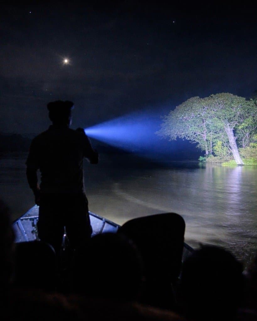De noite, o rio conta segredos para quem sabe ouvir. Silhueta de um guia em pé na proa de um barco, iluminando com uma lanterna poderosa um grande árvore às margens de um rio escuro durante um passeio noturno no Juma Amazon Jungle Lodge, com uma lua crescente visível no céu estrelado