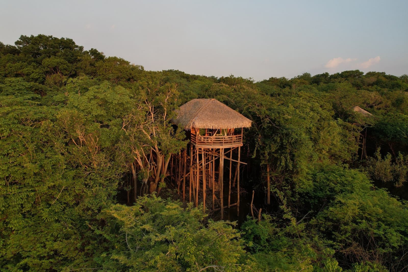 Lá de cima, a floresta conta uma história diferente. Um bangalô elevado com teto de palha da Juma Amazon Jungle Lodge erguendo-se sobre a copa da floresta em altos pilares de madeira, banhado pela luz dourada do fim do dia