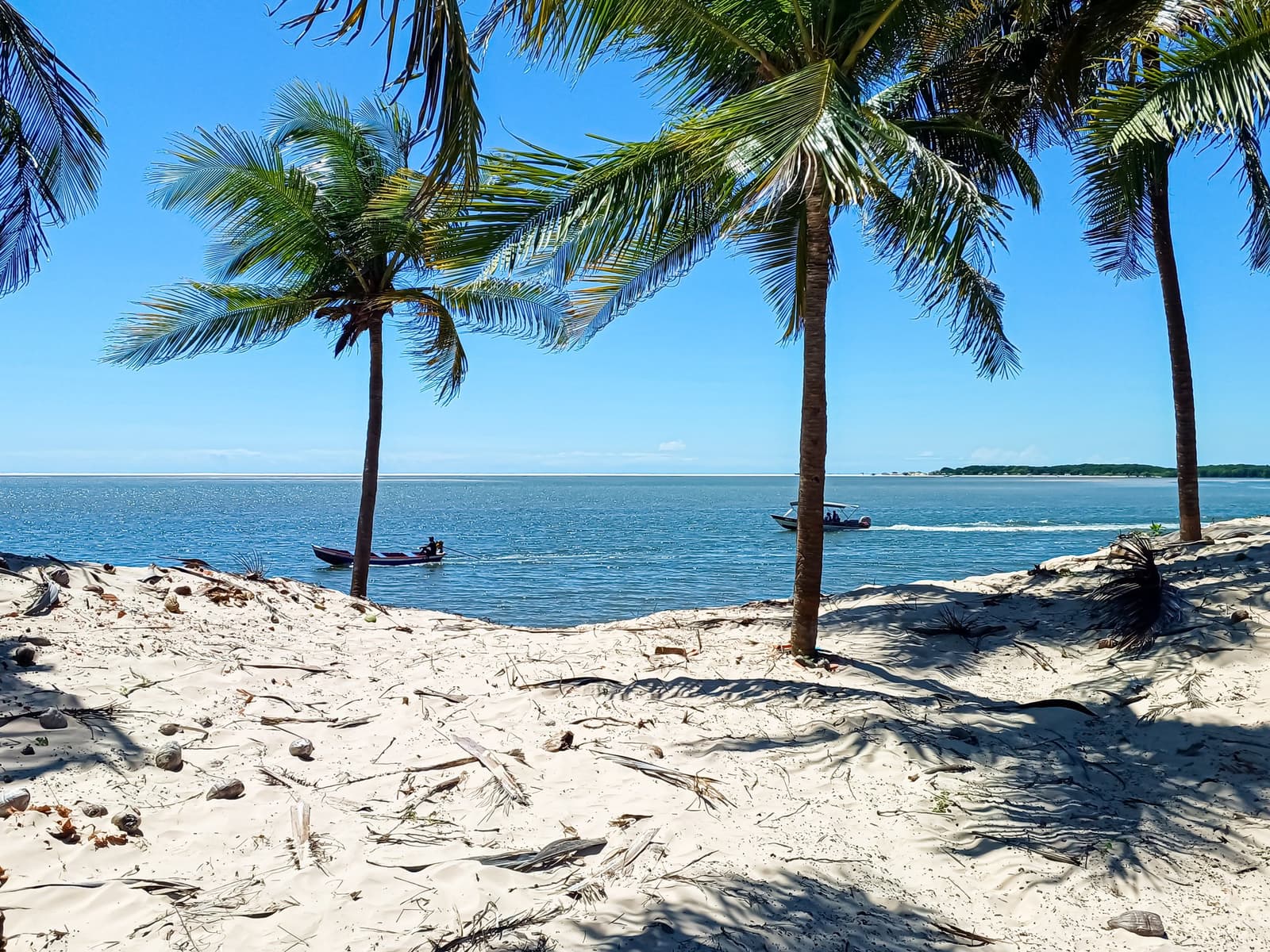 Les cocotiers projettent leurs ombres sur le sable tandis que des barques filent vers les dunes. Photo: JotaFoto Plage de sable blanc bordée de cocotiers dominant un large chenal fluvial calme, avec deux petits bateaux à moteur traversant l'eau bleue lors de la randonnée dans les Lençóis Maranhenses