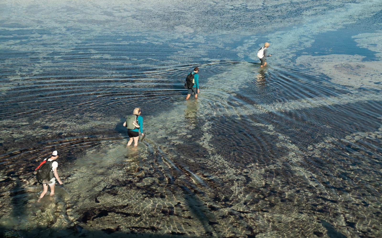 L'eau à mi-mollet, les ondes s'élargissent à chaque pas. Quatre randonneurs traversent à gué une eau peu profonde et cristalline lors d'une randonnée dans les Lençóis Maranhenses, leurs pas formant des cercles concentriques sur la surface lisse