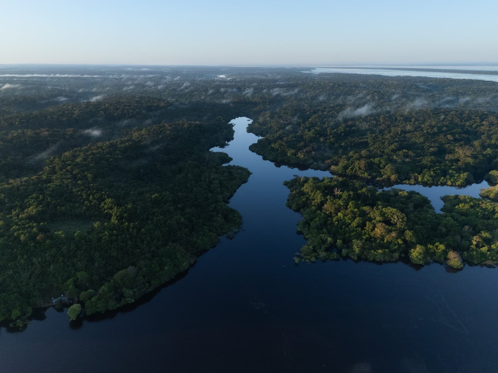 The forest holds its breath just before the day begins. Aerial view of a dark-water channel winding through dense Amazon rainforest canopy at dawn, with low mist drifting over the treetops and a vast river visible on the horizon — the setting of a luxury Amazon lodge Brazil experience