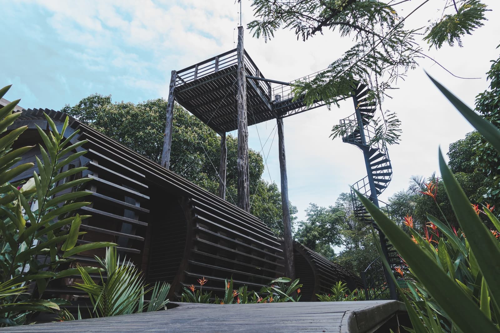Climb up, and the forest shifts from background to everything. Low-angle view of a tall wooden observation tower at a luxury amazon lodge brazil, with a spiral metal staircase rising through lush tropical foliage and heliconia plants in the foreground