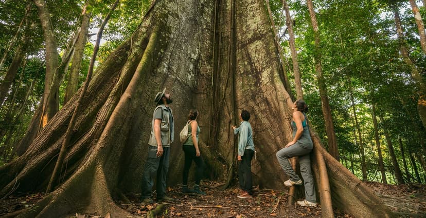 3-day Amazon Jungle Tour from Manaus, Brazil 3-day Amazon Jungle Tour from Manaus, Brazil